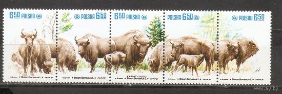 ФФ1 Польша 1981 Зубры