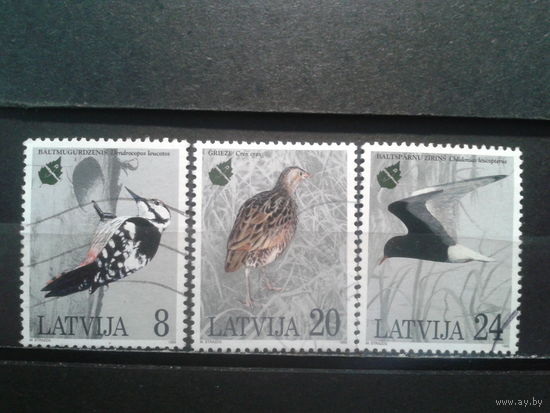 Латвия, 1995. Птицы, полная серия. Mi-3,50 евро гаш.