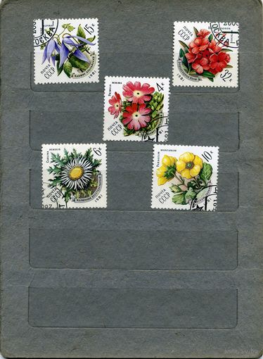 СССР, 1981,  ЦВЕТЫ КАРПАТ,   серия 5м  1981 (на "СКАНЕ" справочно приведены номера и цены по ЗАГОРСКОМУ))