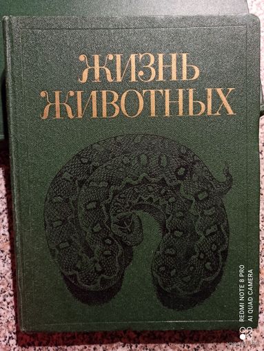 Жизнь животных, 5-ый том Земноводные.Пресмыкающиеся.