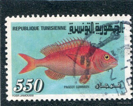Тунис. Фауна. Рыбы