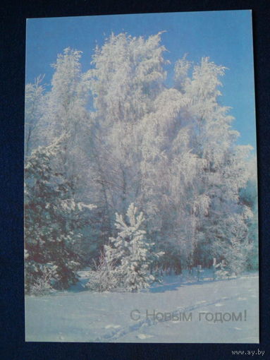 Дорожинский В., С Новым годом! 1989, 1990, чистая.