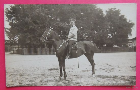 Фото "ПМВ", немецкий офицер на коне, 1917г.