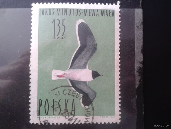 Польша 1964 Чайка