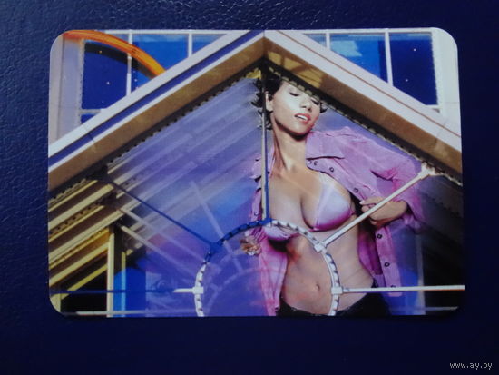 Календарик 2003 г.  Окна и балконные двери.