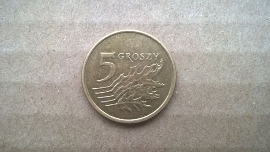 Польша 5 грошей, 2005г.  (U-обм)