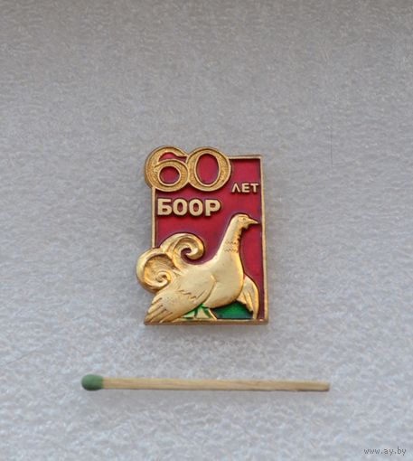 60 лет БООР.