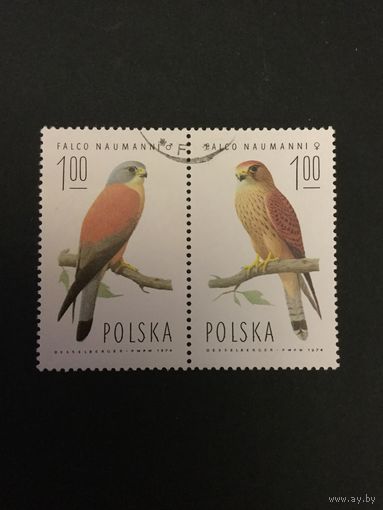 Соколы. Польша,1975, 2 марки из серии