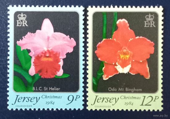 Джерси. Орхидеи.