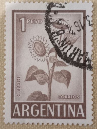 Аргентина. Флора. Girasol