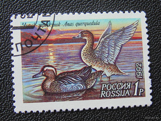 Россия 1992г. Утки.