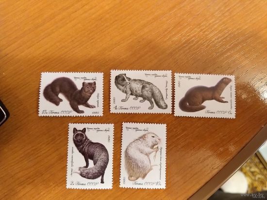 1980 СССР Загорский 5018-5022 фауна чистая полная серия MNH**(с-10)