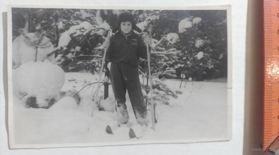 Фото в коллекцию