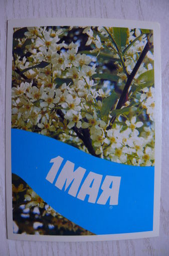 Жаворонков В., ГОрюнова В., 1 Мая; 1989, 1990, подписана.
