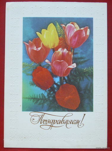 Поздравляем! Подписанная. Двойная. 1983 года. Костенко. 259.