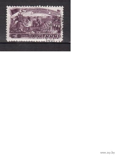 СССР-1948, (Заг.1189),  гаш. (с клеем),  Сельское хоз-во(Уборка сахарной свеклы)