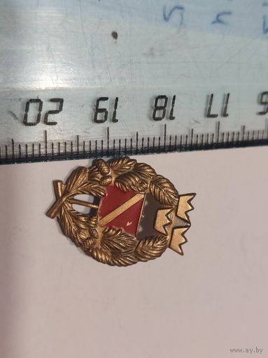 Значок Швеция спортиное ориентирование