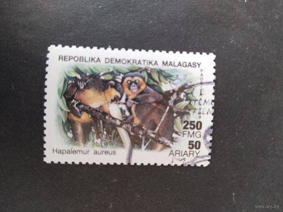 Мадагаскар 1989