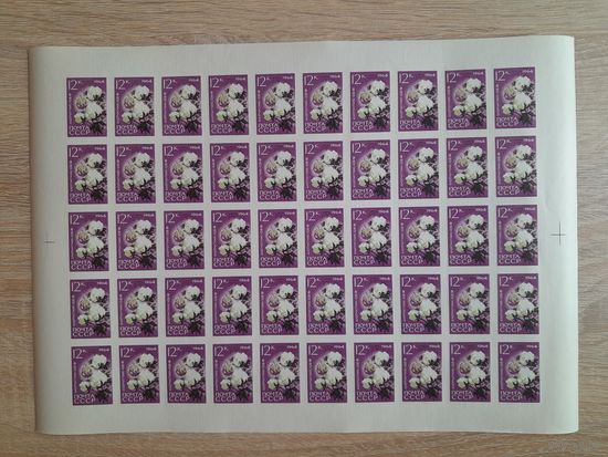 Лист 1964 г. Сельскохозяйственные культуры.  Хлопчатник