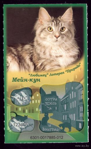 Лотерейный билет Мейн-кун