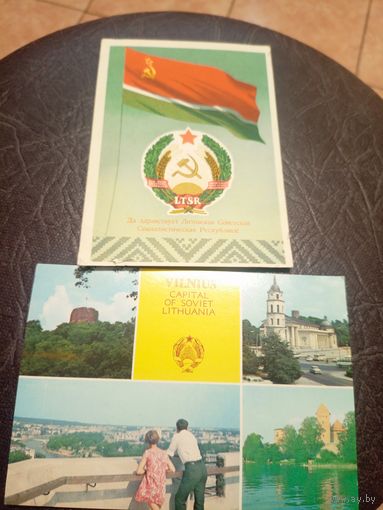 Герб и флаг ЛССР.