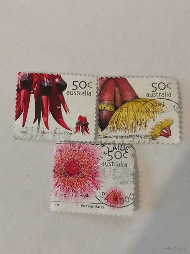 Три марки из серии "Австралийские полевые цветы" - Свайнсона прекрасная (Swainsonia formosa), Болотная ромашка (Actinodium cunninghamii) и Эвкалипт груболистный (Eucalyptus grossa)