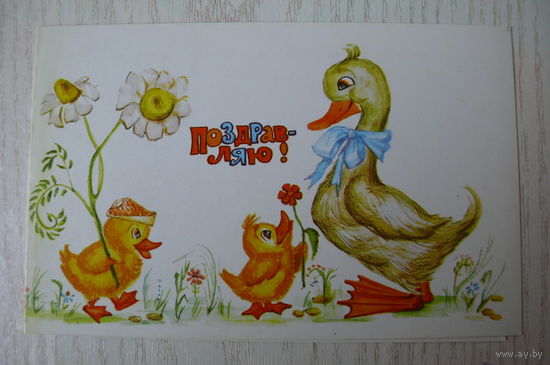 Селиванова Т., Поздравляю! 1983, двойная, чистая (утята, ромашки).