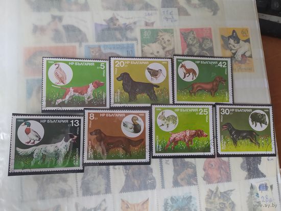 Марки Болгарии, охотничьи собаки.
