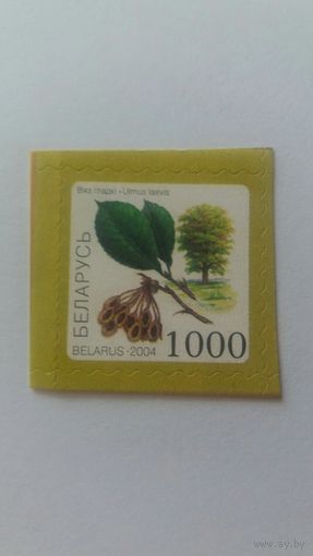 РБ 2004  вяз (самокл)