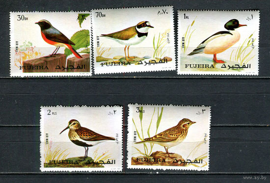Фуджейра - 1972 - Птицы - [Mi. 1356-1360] - полная серия - 5 марок. MNH.  (Лот 59Jw)-T9P3