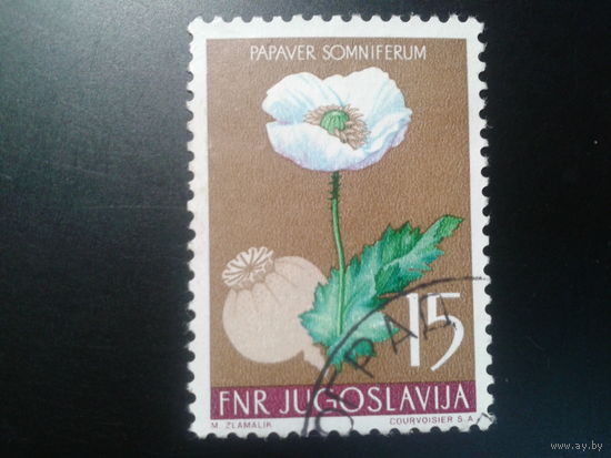 Югославия, 1955. Мак альпийский