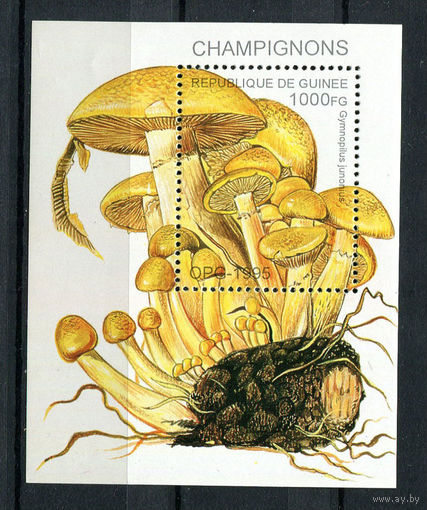 Гвинея - 1995 - Грибы - [Mi. bl. 500] - 1 блок. MNH.