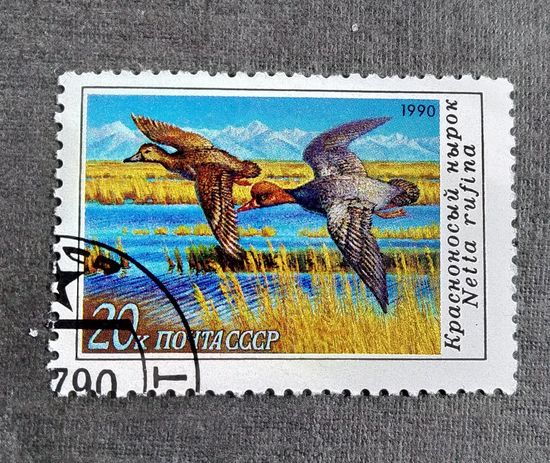 Марка СССР 1990 год Утки