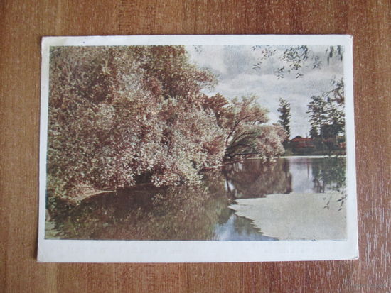 Почтовая открытка.1952г.