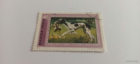 Венгрия 1972