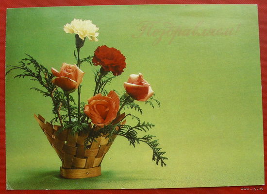 Поздравляем! Чистая. 1983 года. Фото Бабайлова. 1441.