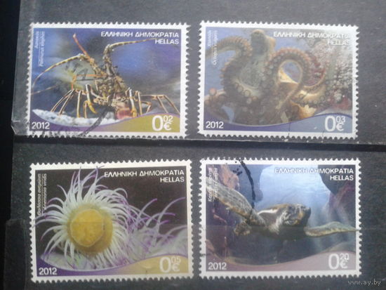 Греция 2012 Морская фауна