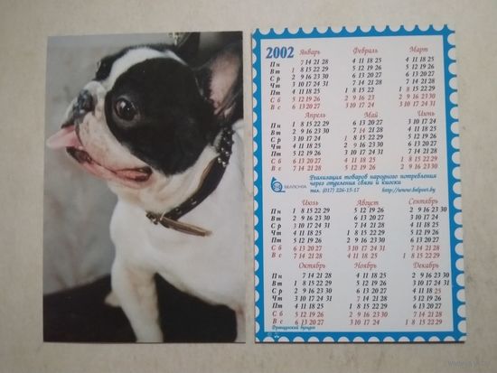Карманный календарик . Собака . Белпочта. 2002 год