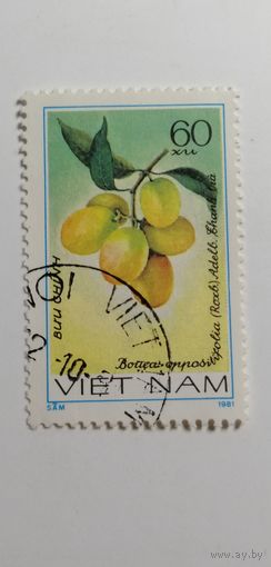 Вьетнам 1981. Фрукты