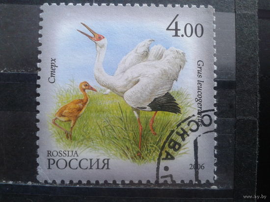 Россия 2006 Стерх