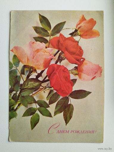 С Днём Рождения!  1974 года. Фото И. Дергилёва. Чистая