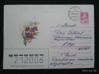 1985 виола прошло почту