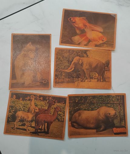 Открытки. ИЗОГИЗ. СССР. Животные