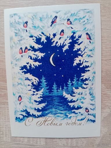 Гасиева мини 1984 чистая.