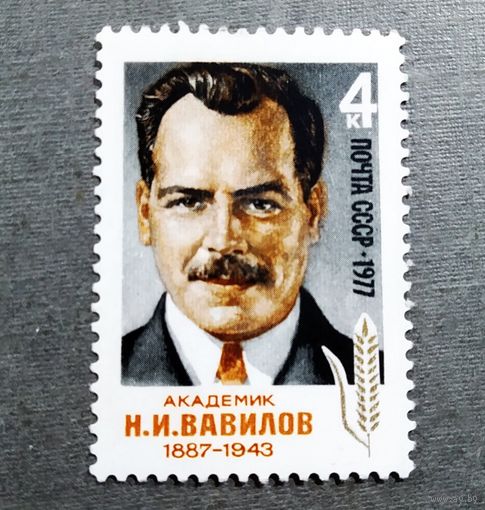 Марка СССР 1977 год Н.И.Вавилов