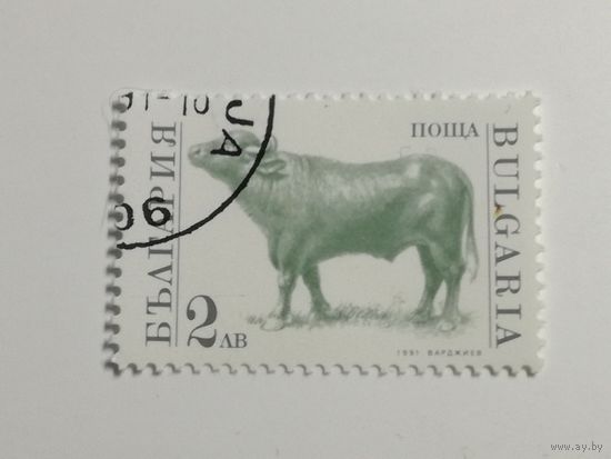 Болгария 1991. Домашние животные.