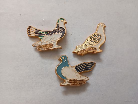 3 значка Птички
