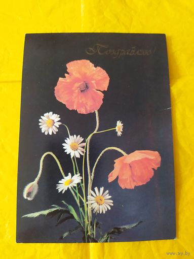 Поздравляю