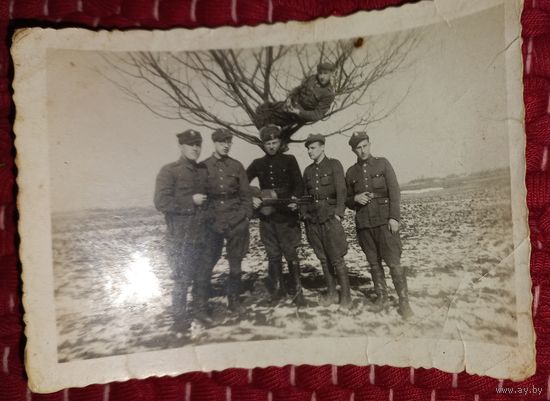 ФОТО !945г ВОВ/Войско Польское в Германии .()