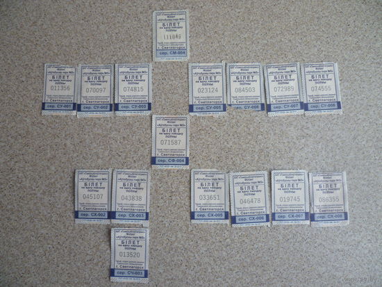 Билеты Светлогорск 2022, 2024, 2025 гг.